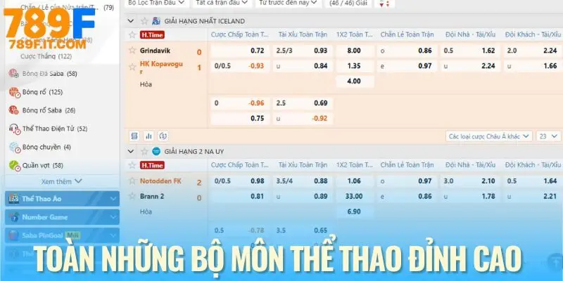 Top bộ môn thể thao đáng cược nhất năm 2025